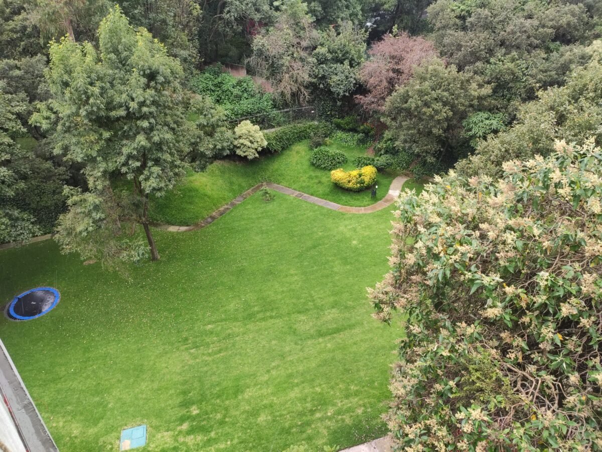 Jardines